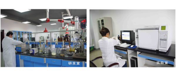 丙烯酸球场,塑胶跑道施工 丙烯酸球场,塑胶跑道施工